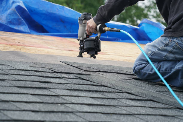 Roof Insulation in Fruitvale, CO